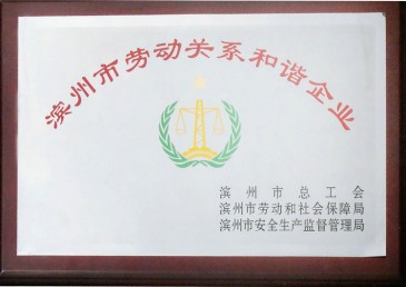 濱州市勞動（dòng）關係和諧企業